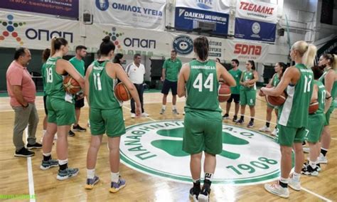 panathinaikos basketball women's